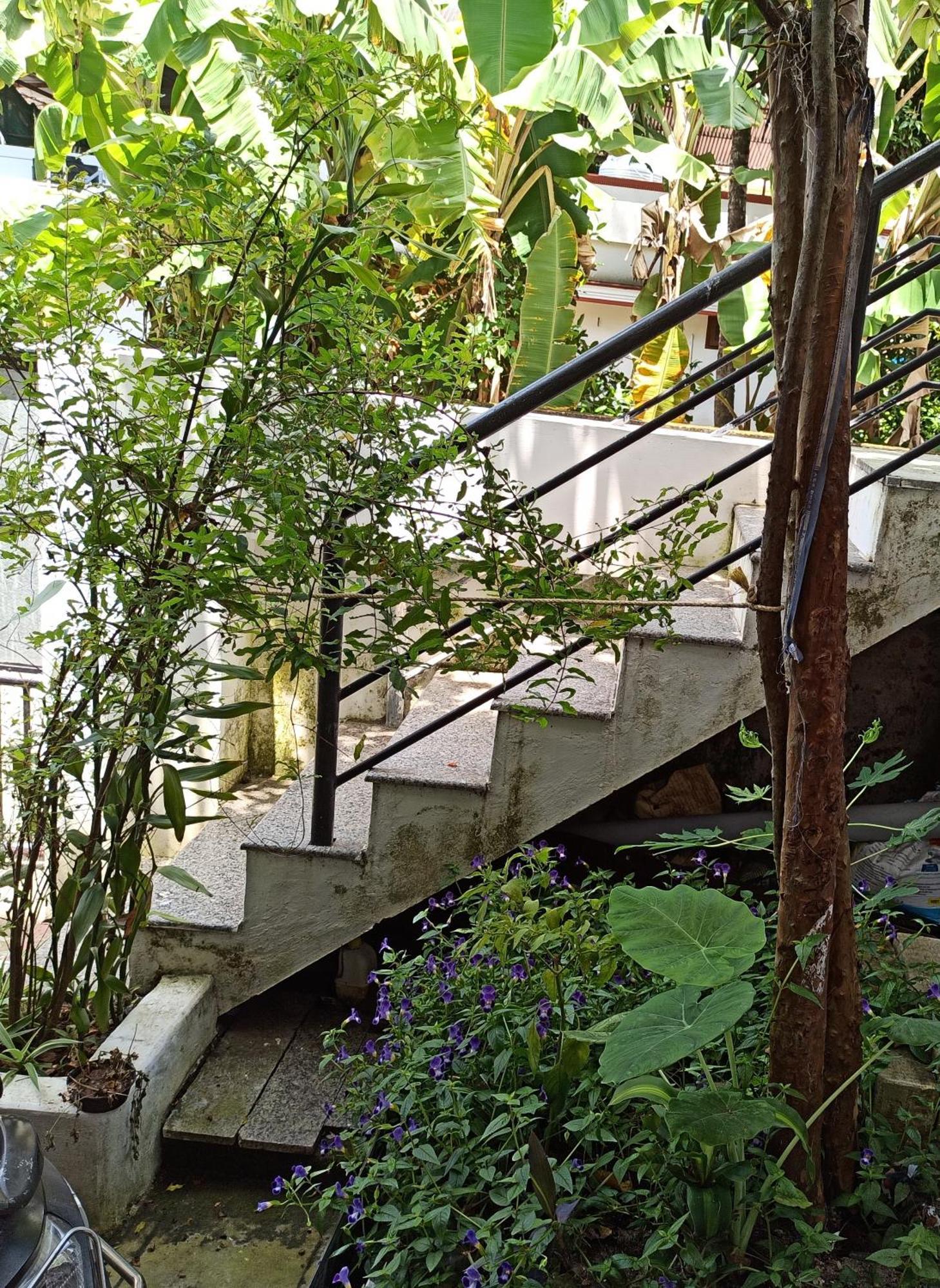 Kochi Bethesda Inn מראה חיצוני תמונה