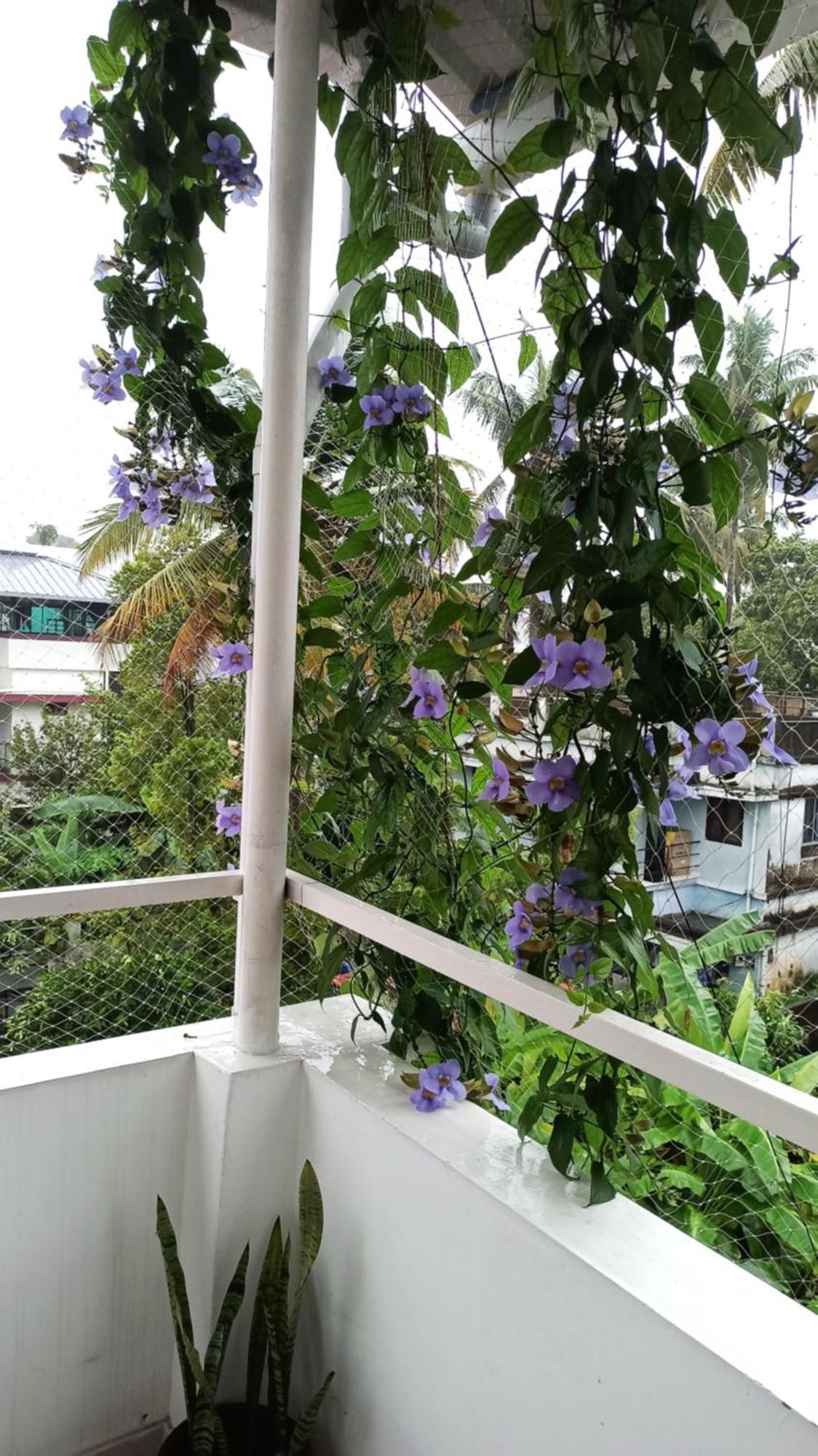 Kochi Bethesda Inn מראה חיצוני תמונה